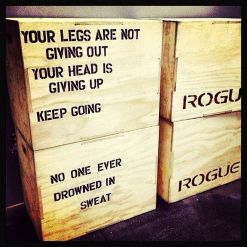 892572d64e261e7212801e893ee2c775