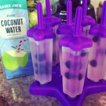 paleo popsicles